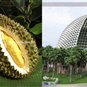 Building Design Architecture Design Architectural Engineering Architect Model No - 3860